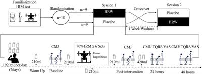 Effects of 8 days intake of hydrogen-rich water on muscular endurance performance and fatigue recovery during resistance training